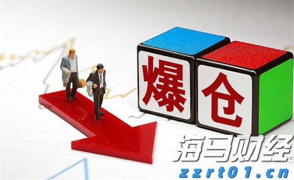 “稀客”紫背椋鸟到访福建