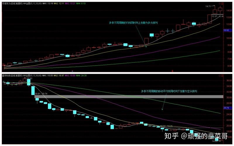 福建省纺织服装产业供需对接活动举办